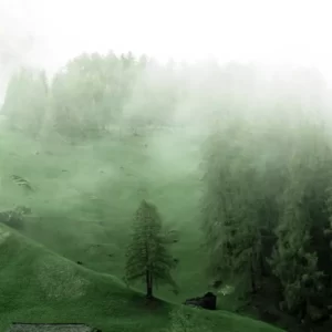 李子柒、李佳佳、頻道停更、品牌、IP、品牌意識、youtuber、劉同明